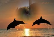 Іруся Романчук фотография #50 (источник - https://vk.com/id67418291)