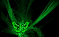 Фотография Калимуллиной-Рызаевой Альбины