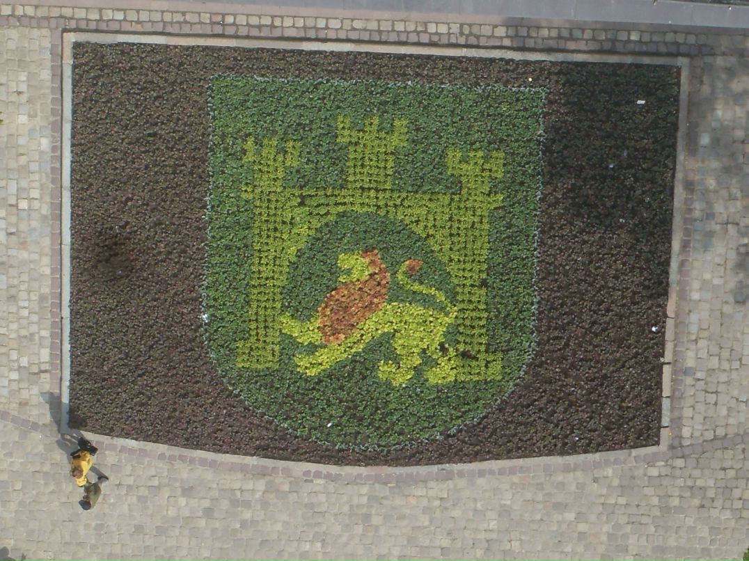 Вадим Тимофеев фотография #16