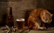 Фотография Шалыгина Дмитрия