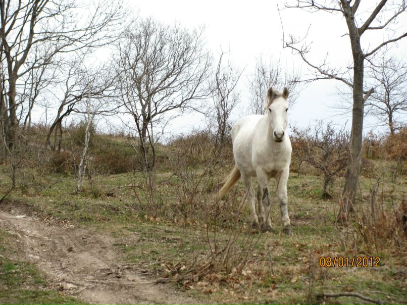 Роман Романенко фотография #11