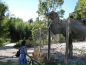 Фотография Ер Маши