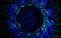 Лукерія Надюк фотография #24 (источник - https://vk.com/id71954498)