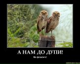 Віталій Дорошенко фотография #45 (источник - https://vk.com/id16754375)