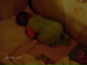 Фотография Каштельян Дианы