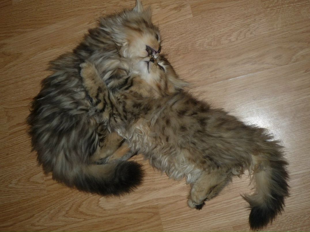 Надежда Краснова фотография #11