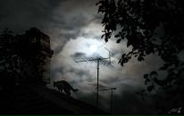 Фотография Новиковой Анны