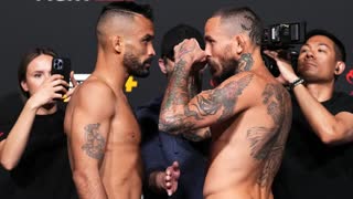 Все битвы взглядов перед UFC Вегас 53